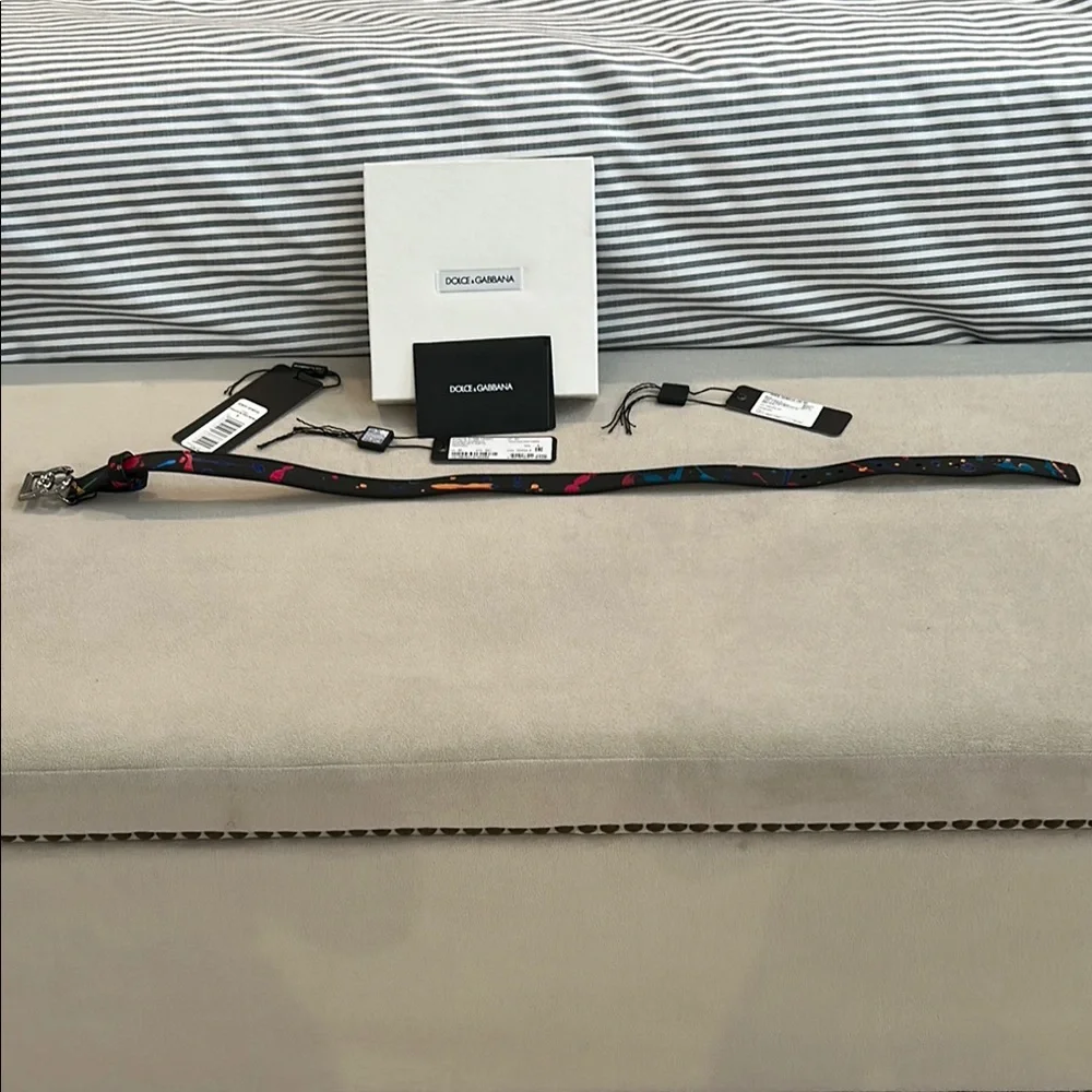 Dolce & Gabbana Black Belt with Silver Buckle and Multicolor Design
